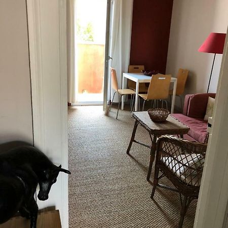 Appartement Hippolyte มงต์เปอลิเยร์ ภายนอก รูปภาพ